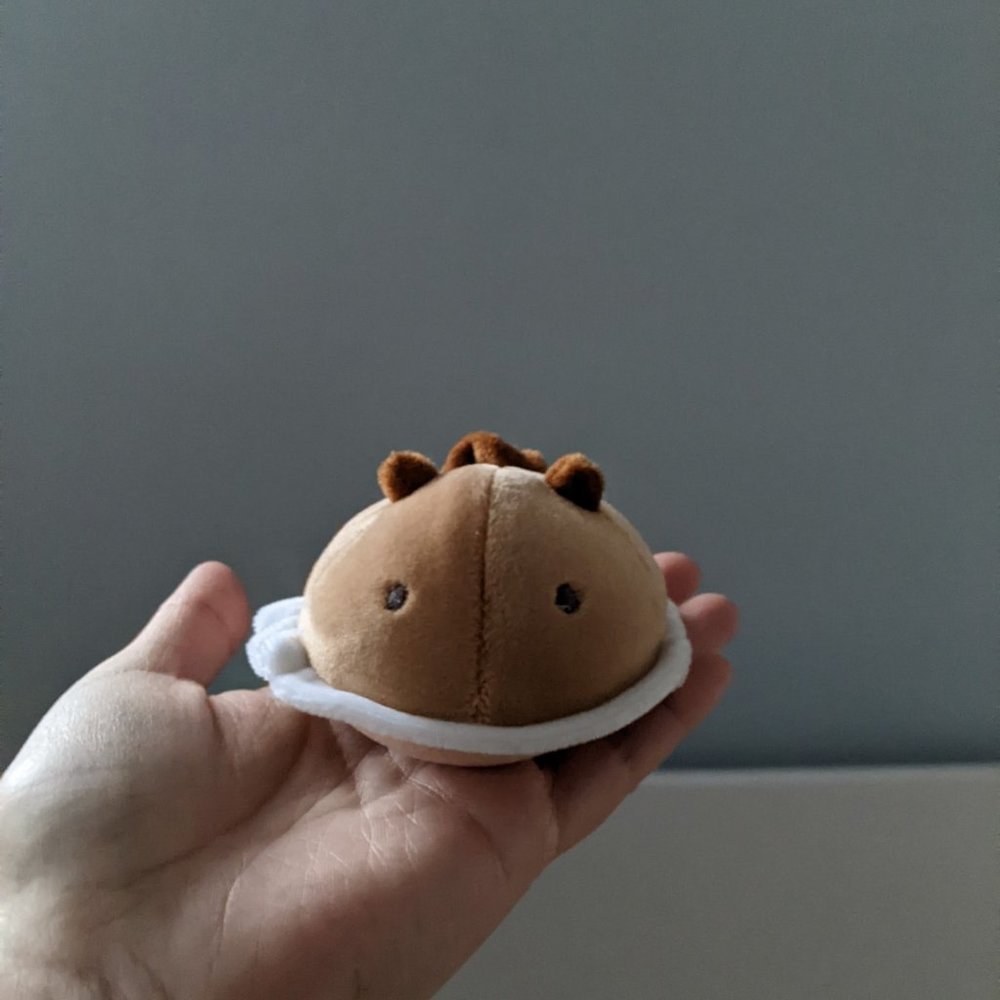 Sea Slug Plush